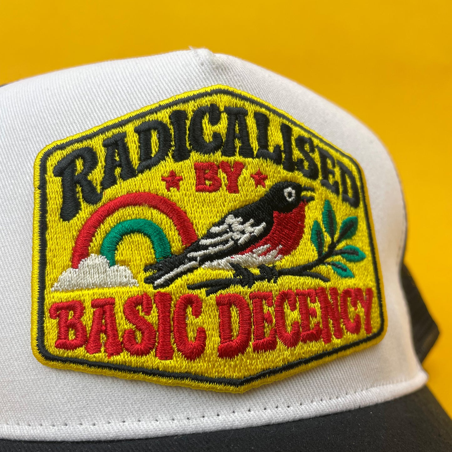 Radicalised By Basic Decency Trucker Hat