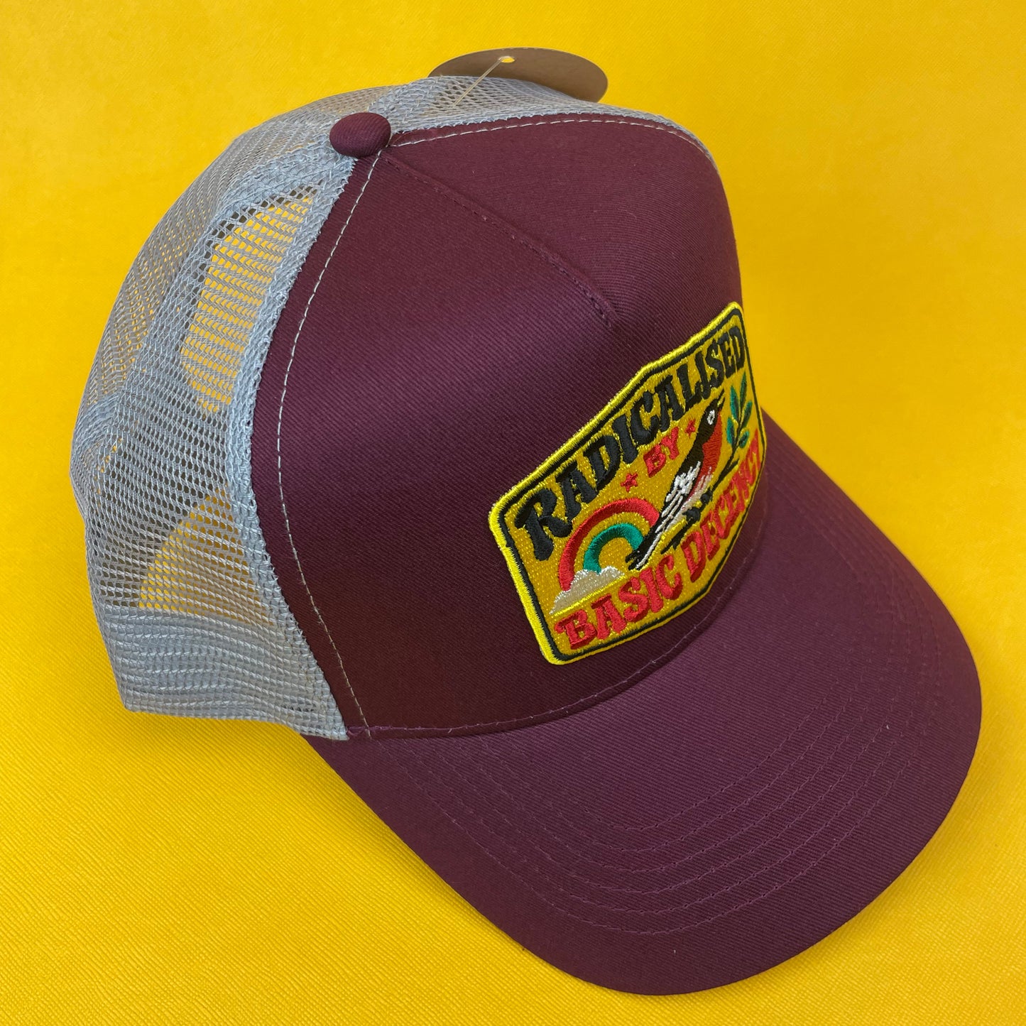 Radicalised By Basic Decency Trucker Hat